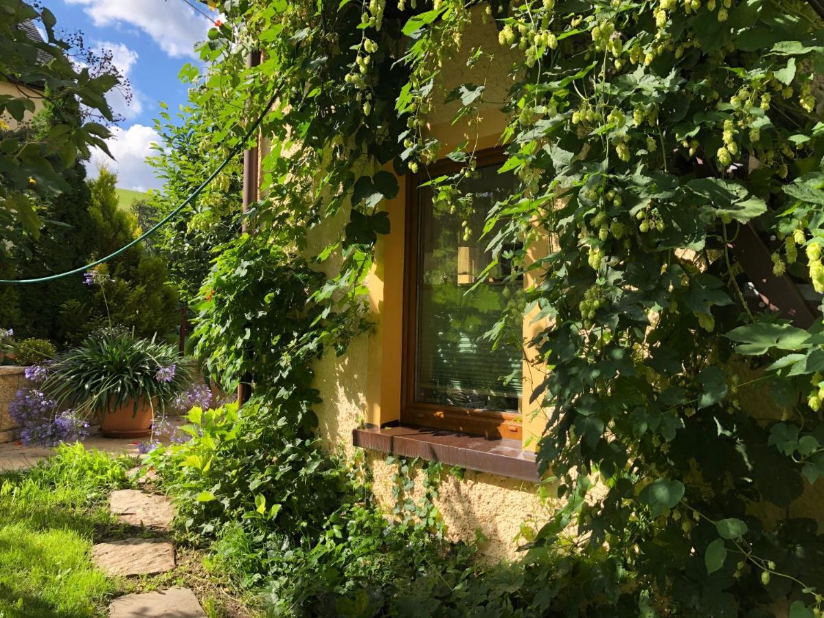 Ferienhaus Erzgebirge "An Der Trebe" Mit Kamin Und Sauna Neuhausen  Exterior foto
