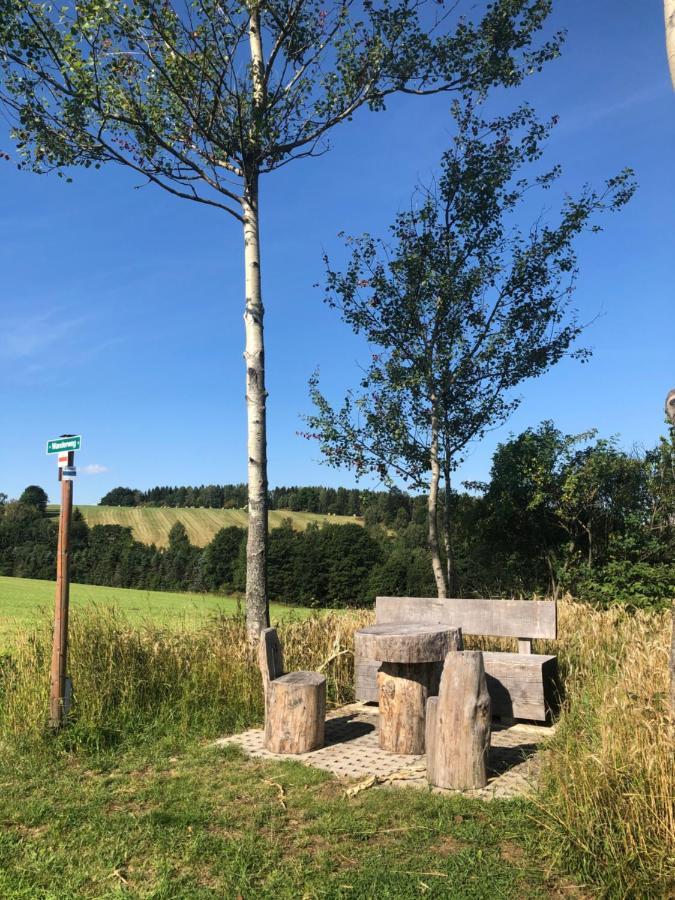 Ferienhaus Erzgebirge "An Der Trebe" Mit Kamin Und Sauna Neuhausen  Exterior foto