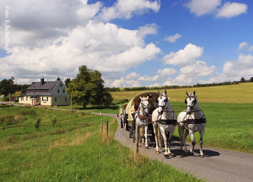 Ferienhaus Erzgebirge "An Der Trebe" Mit Kamin Und Sauna Neuhausen  Exterior foto