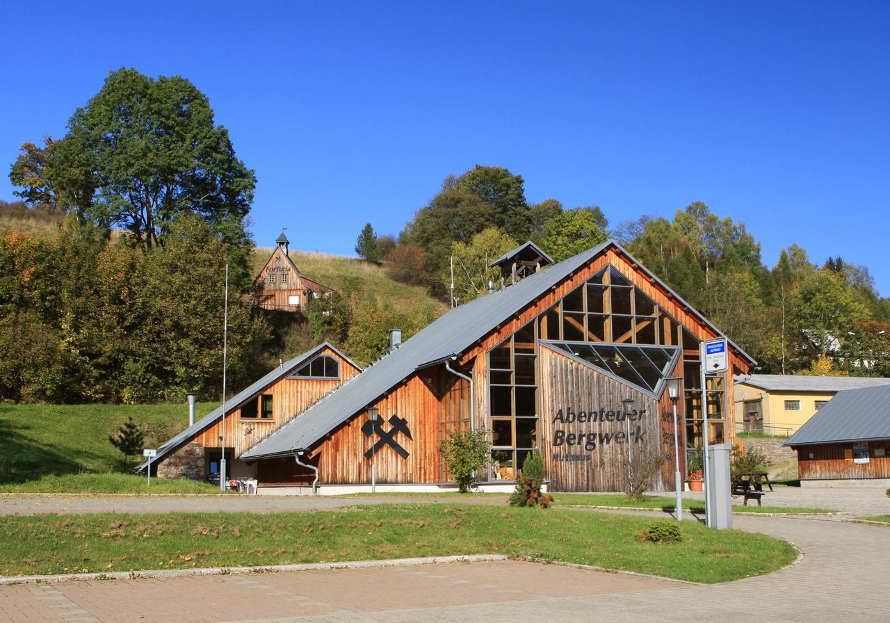 Ferienhaus Erzgebirge "An Der Trebe" Mit Kamin Und Sauna Neuhausen  Exterior foto